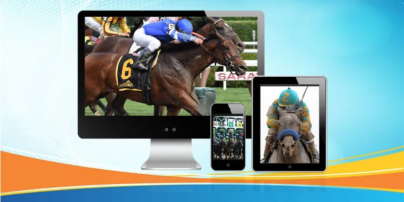 Cá cược cầu lông có gì hấp dẫn và vì sao được yêu thích