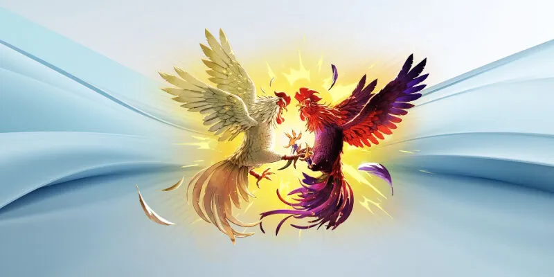 Đá gà C1 là gì và vì sao hình thức này lại thu hút người chơi chuyên nghiệp