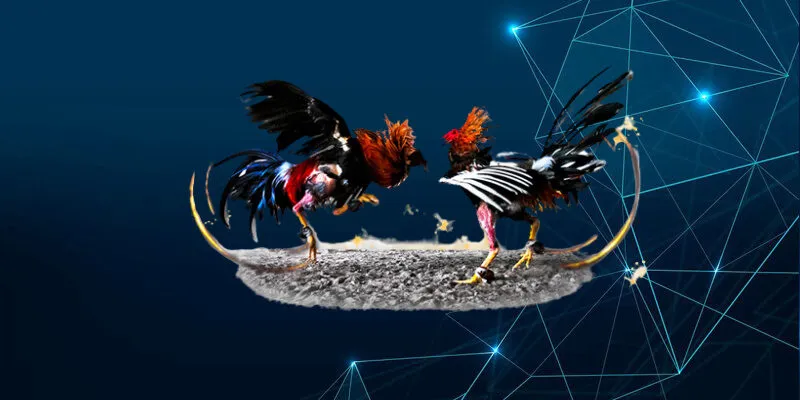 Giới thiệu về đá gà Campuchia