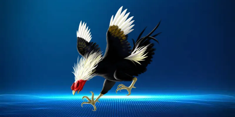 Những thể loại đá gà Campuchia phổ biến nhất hiện nay