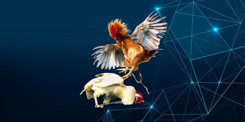 Hướng dẫn đặt cược tại MMLIVE