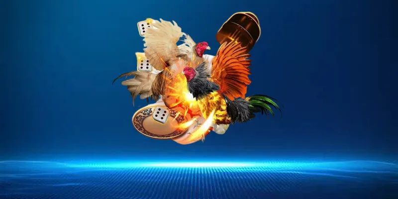 Cách chọn chiến kê thi đấu cực chuẩn