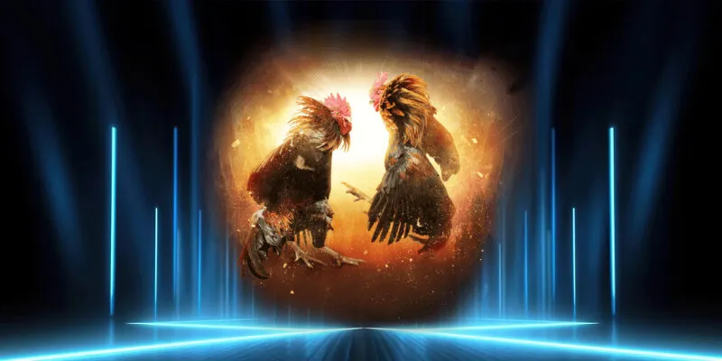 Luật lệ khi chơi