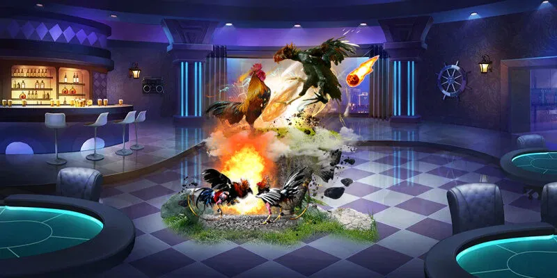 Hướng dẫn tham gia đá gà chi tiết cho newbie